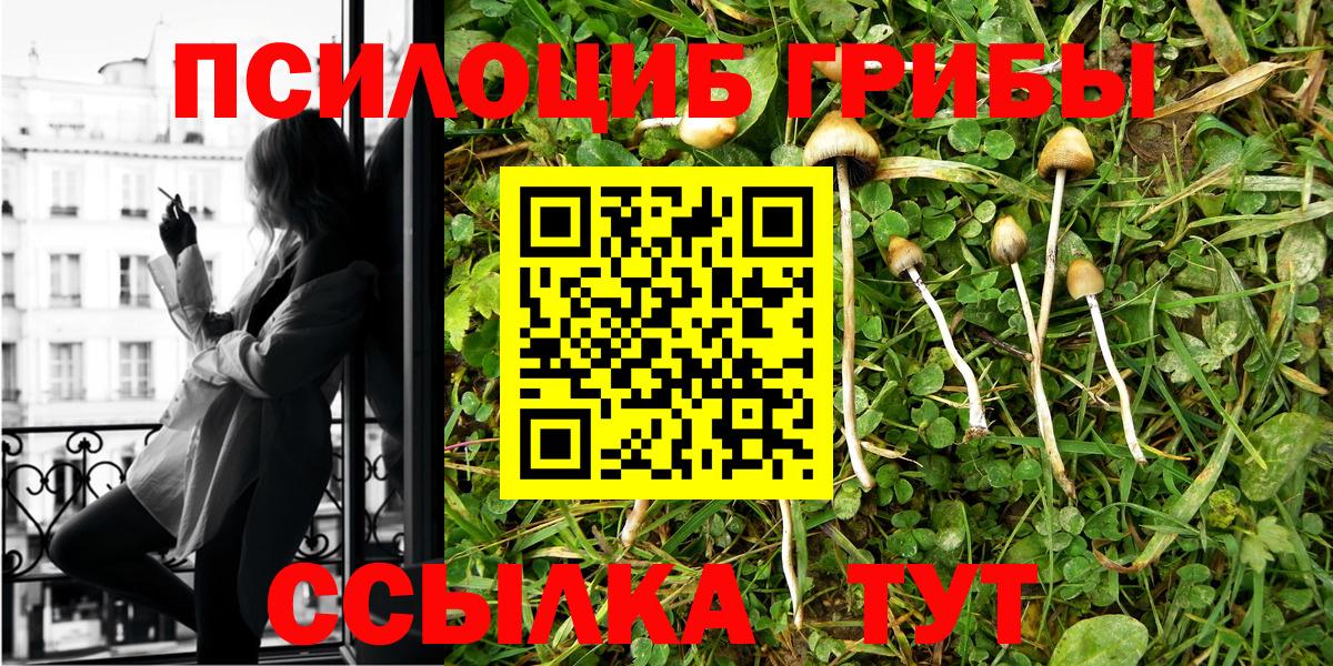Котлас  Галлюциногенные грибы Cubensis  Вход с VPN 